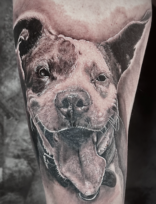 Casu Tattoo Studio Mataró