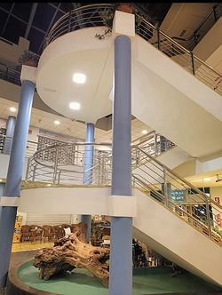 Galería de imágenes