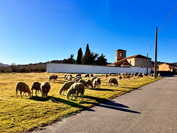 Galería de imágenes