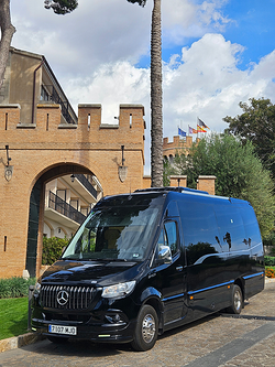 Galería de imágenes