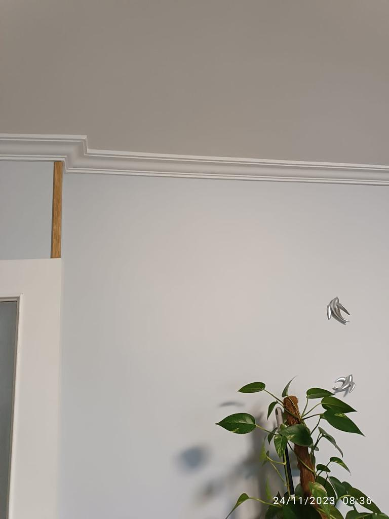 Alba&ntilde;ileria y Reformas Integrales Martinez 10