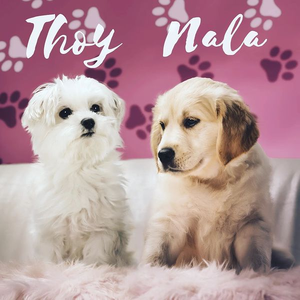 Sergio Miguelez .Tribu. Sc 5