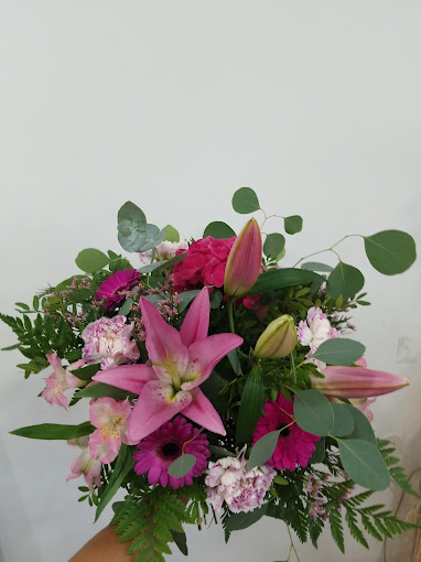 P&egrave;tals Granollers