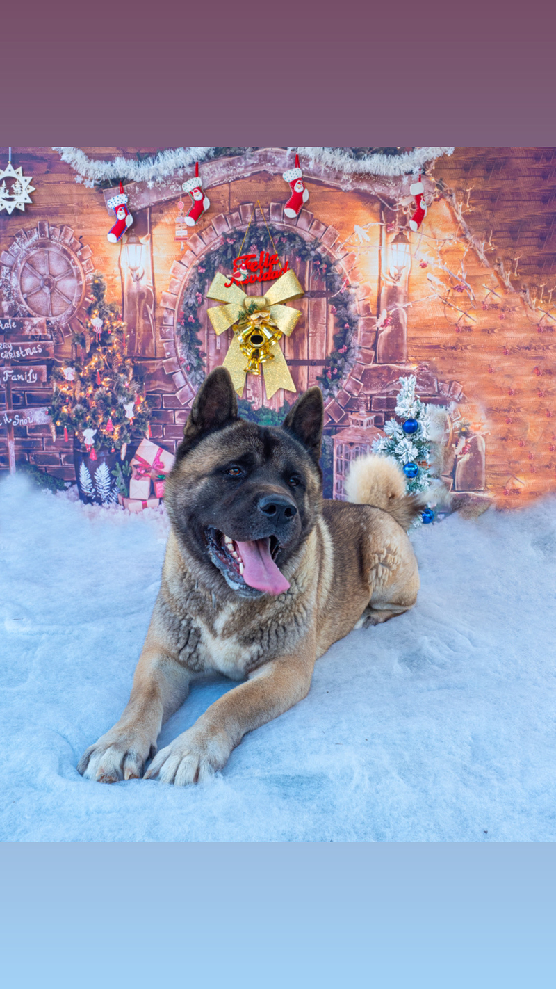 La Galga Fotografía Cartagena