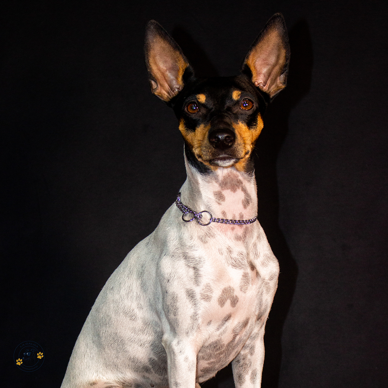 La Galga Fotografía 4