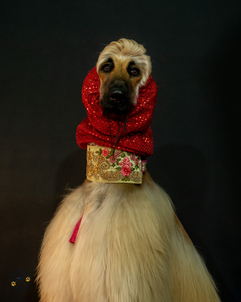 La Galga Fotografía 5