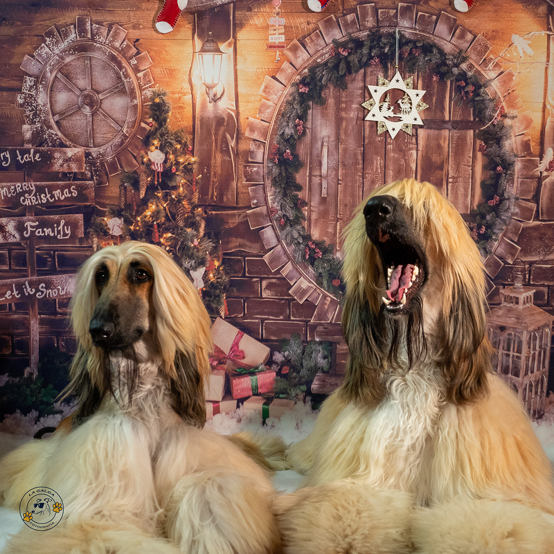 La Galga Fotografía 6