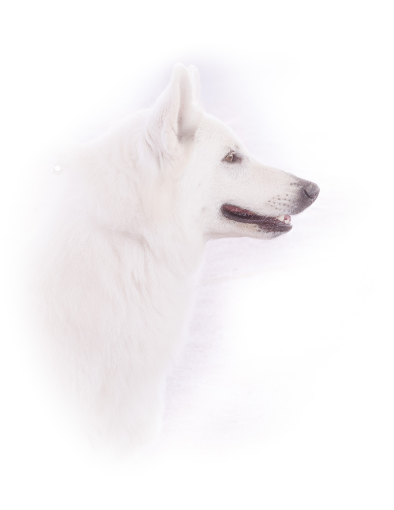 La Galga Fotografía 3