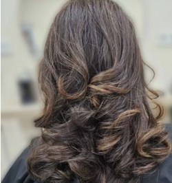 Galería de imágenes