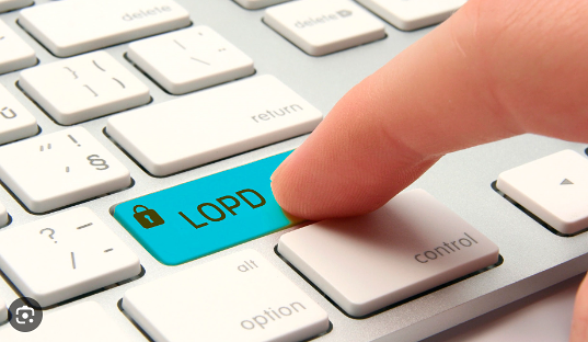 Ciclo Consultora PROTECCION DE DATOS: SERVICIOS