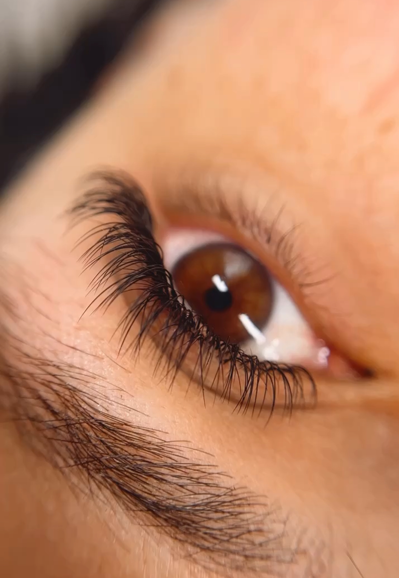 Lash Lover Studio 12