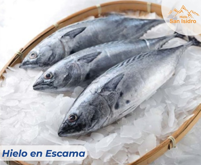 Hielo San Isidro HIELO: FABRICAS