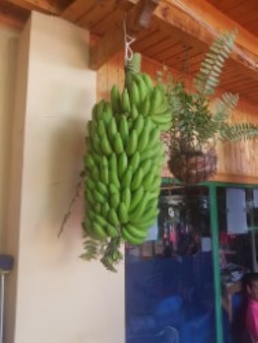 Bar Restaurante Marcos 13