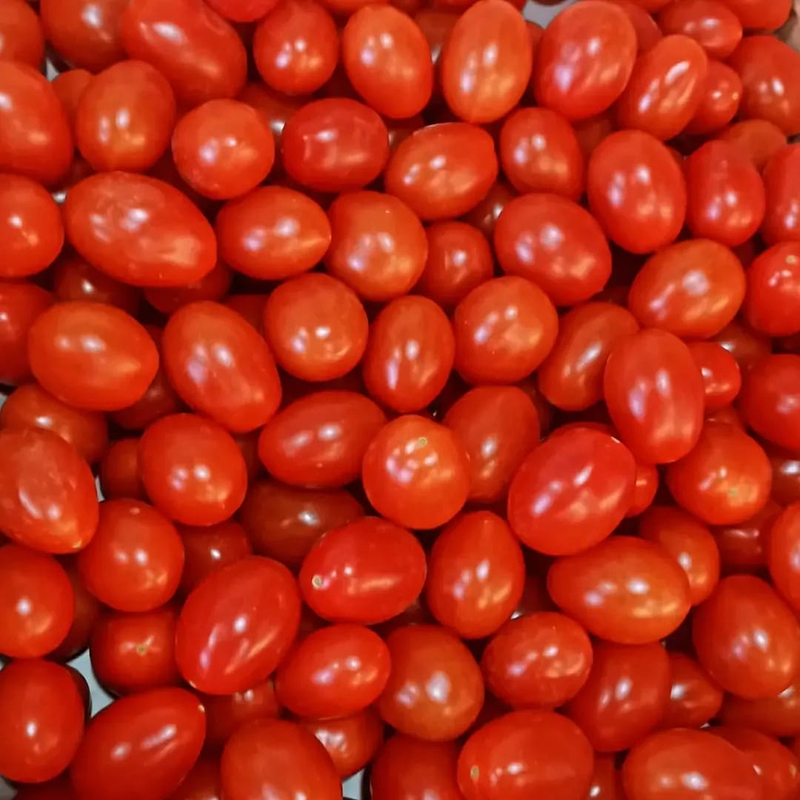 A.M.A. Los Tomates Sueca