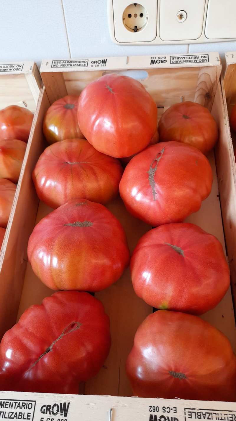 A.M.A. Los Tomates 2