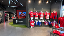 Galería de imágenes