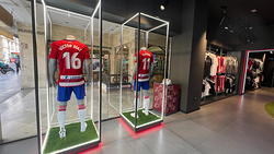 Galería de imágenes