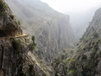 Apartamentos Remis 6