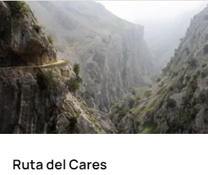 Apartamentos Remis 8