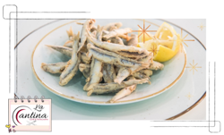 Galería de imágenes