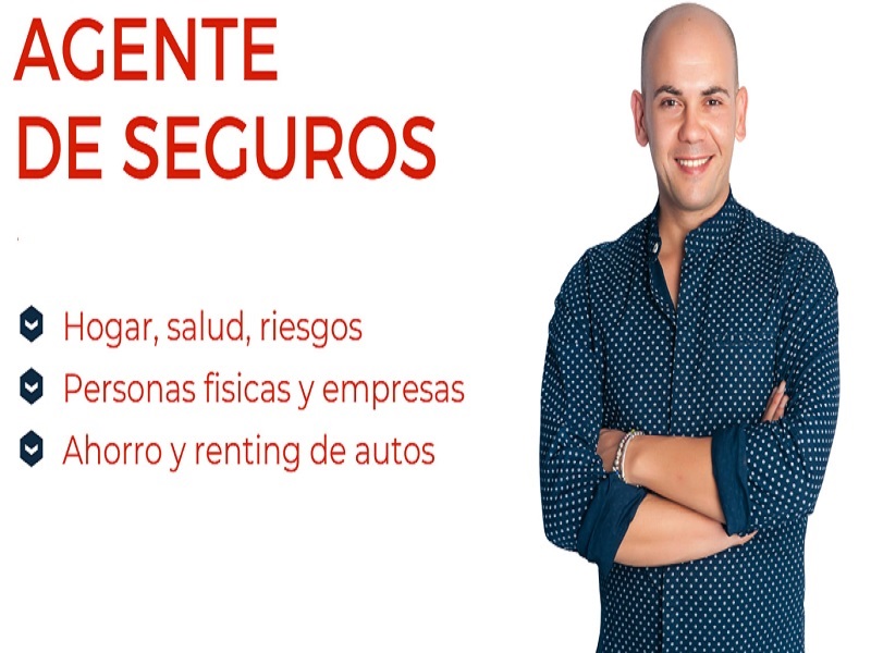 Seguros Laynez