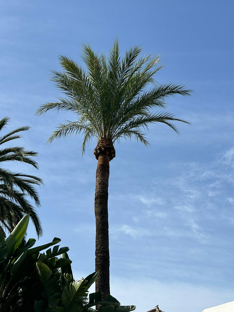 Chic Garden Construction 6