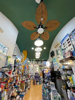 Galería de imágenes