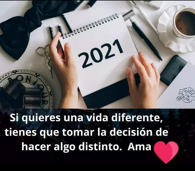 Terapias Hol&iacute;sticas Alineate con Alina 4