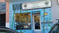 Imagen de Kritical Grow Conchu