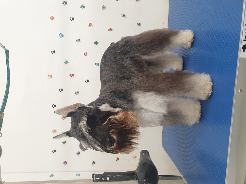 El Rinc&oacute;n De Roby Vélez-Málaga