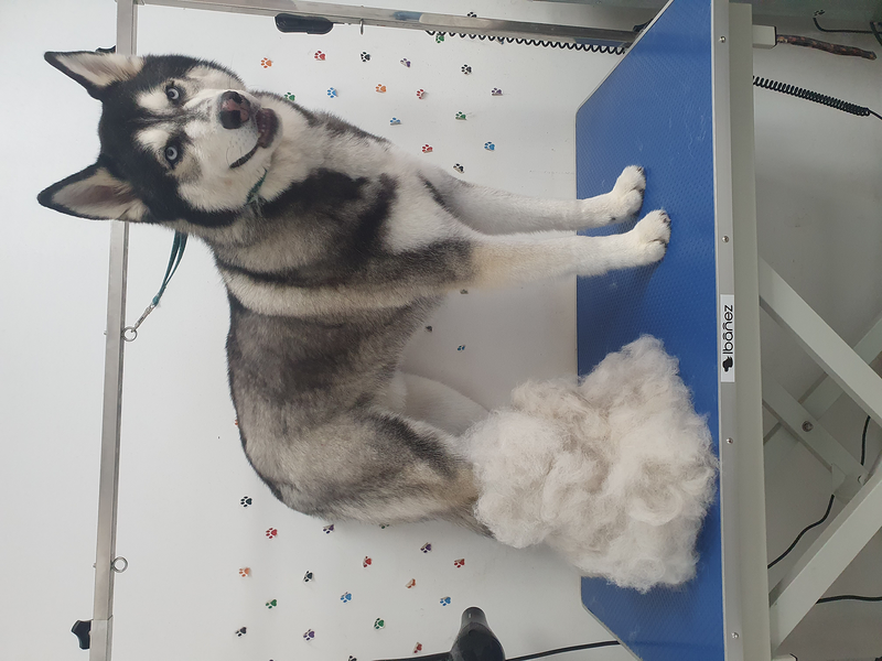 El Rinc&oacute;n De Roby 3