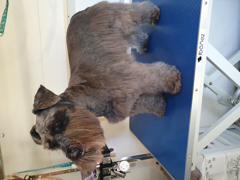 El Rinc&oacute;n De Roby 5