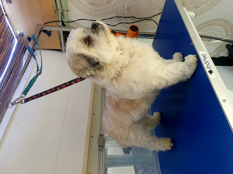 El Rinc&oacute;n De Roby 6