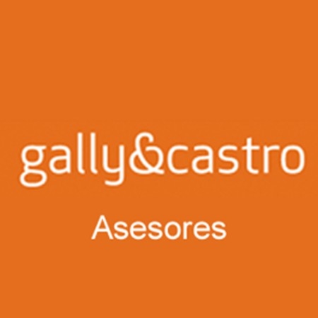 Gally&castro Asesores
