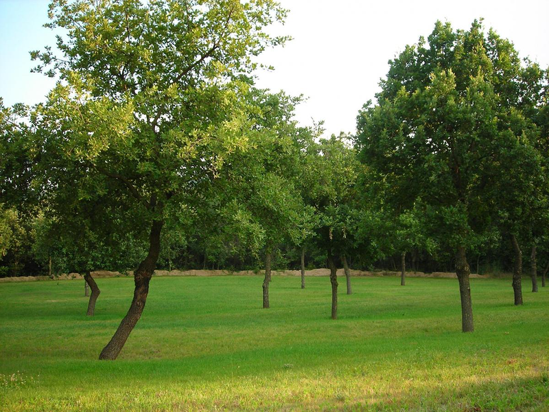 Casa Rural Can Rocosa 15