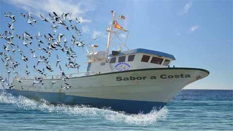 Mariscos Ferrari Slu 7