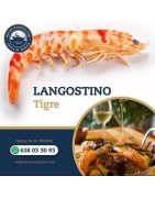 Mariscos Ferrari Slu 3