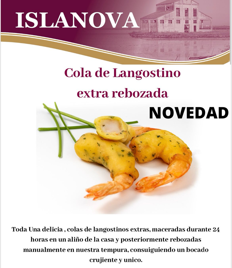 Congelados villasanta 10