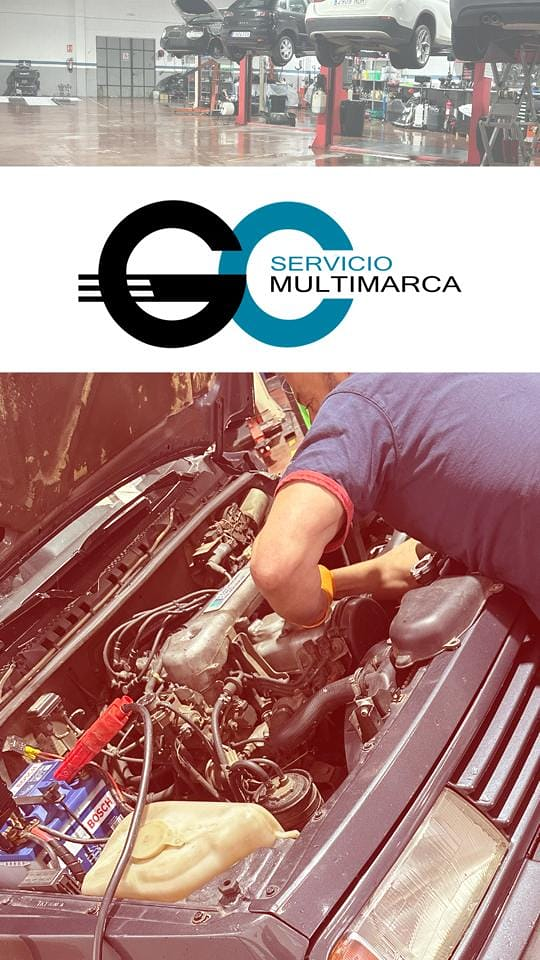 Talleres Gocar Servicio Multimarca 6