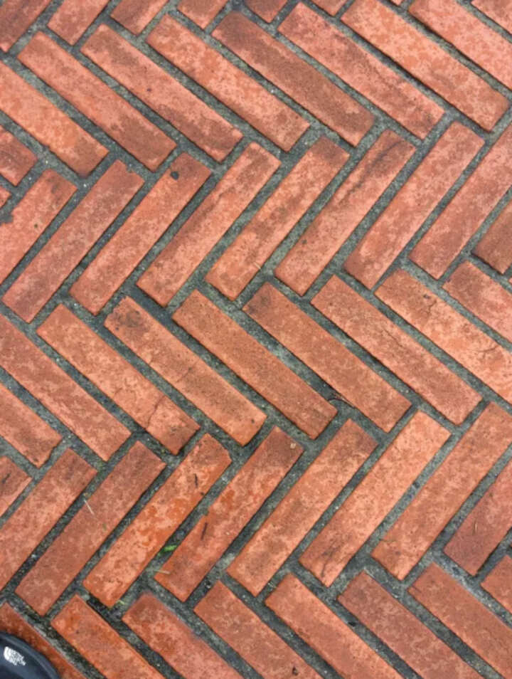 Gesercons Int Y Ext. 12