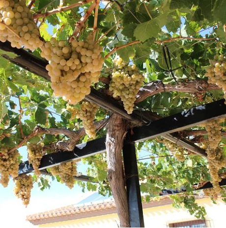 Casa Rural Mirador de los Palomos 18