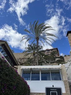 Galería de imágenes