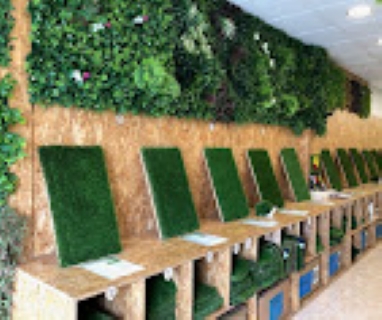 Galería de imágenes