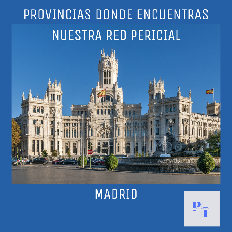 Tu Peritaje Ideal 10