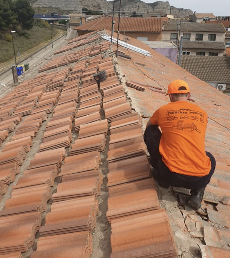 Tejados Moral Zaragoza