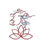 Paloma Villela - Padma Ashtanga Yoga