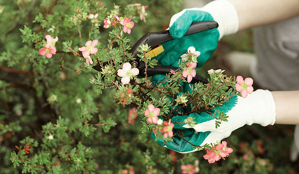 Baleares Absolute Clean Palma