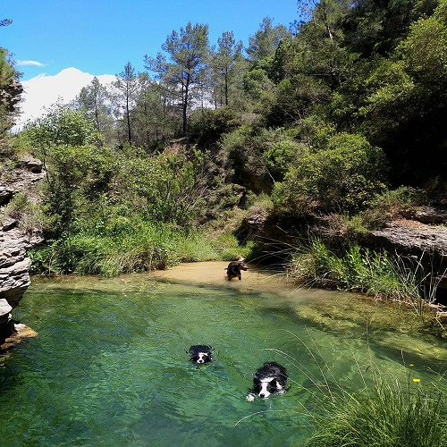 Casas Rurales Tierras Del Cabriel 3