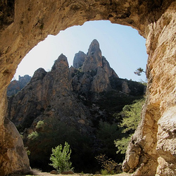 Galería de imágenes