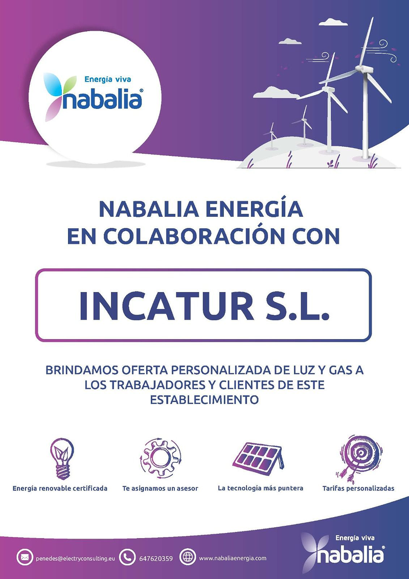 ElectryConsulting Penedes 8